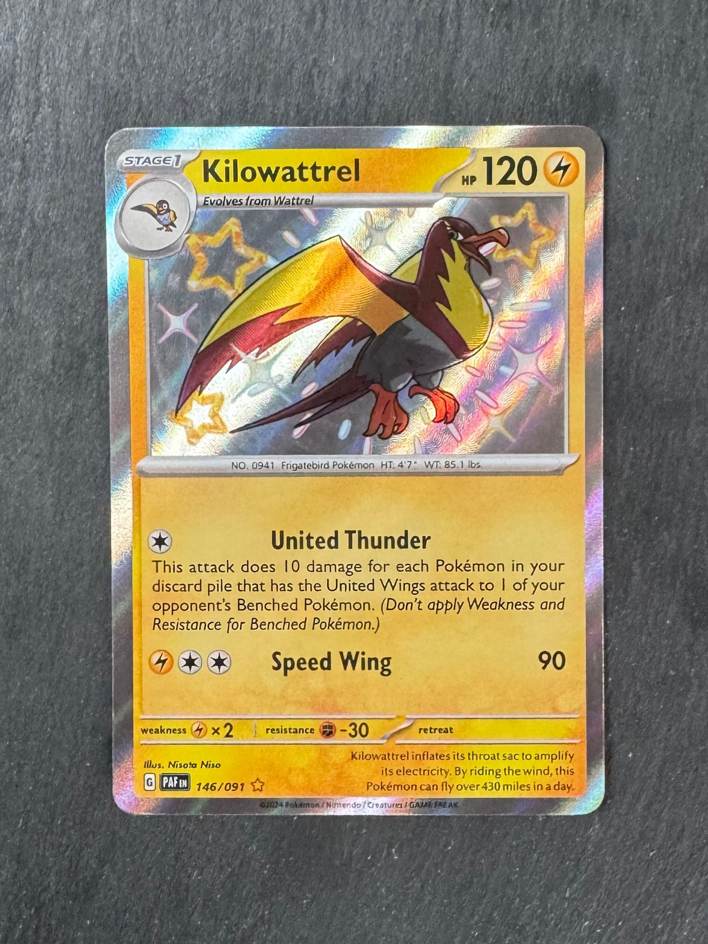 Kilowattrel - Baby shiny - Holo - 146/091