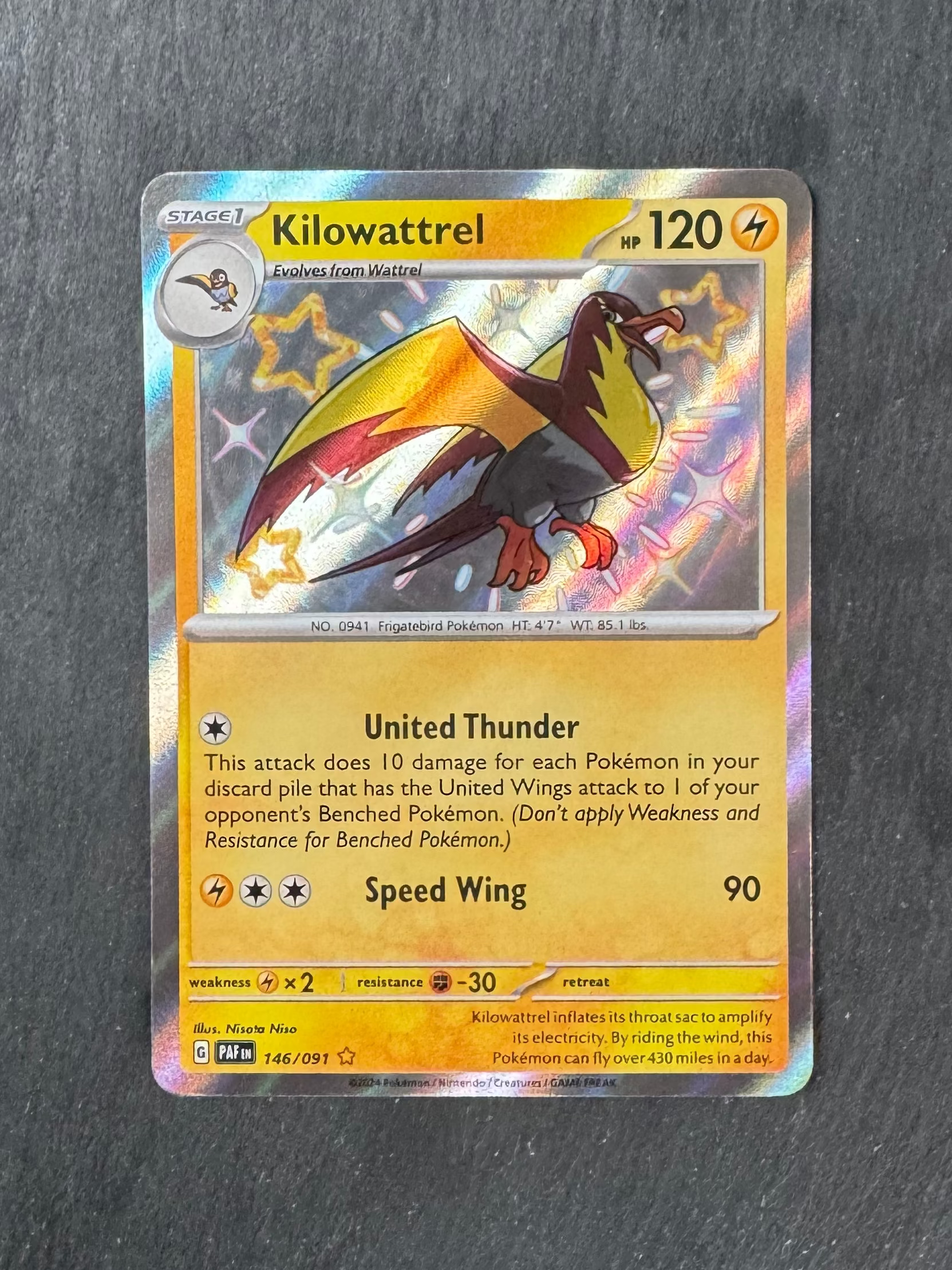 Kilowattrel - Baby shiny - Holo - 146/091