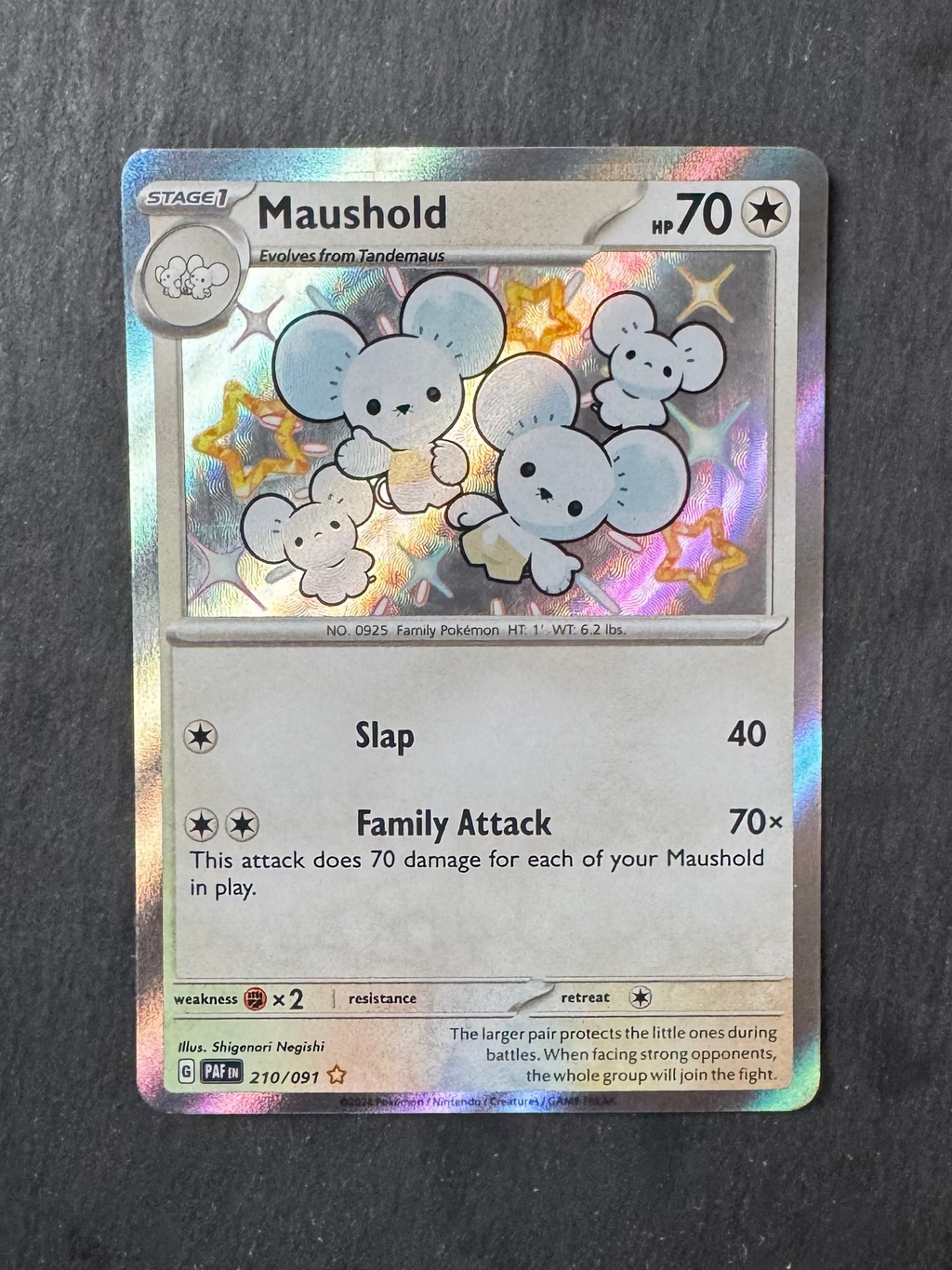 Maushold - Baby shiny - Holo - 210/091